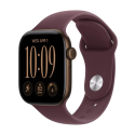Apple Watch Series 12