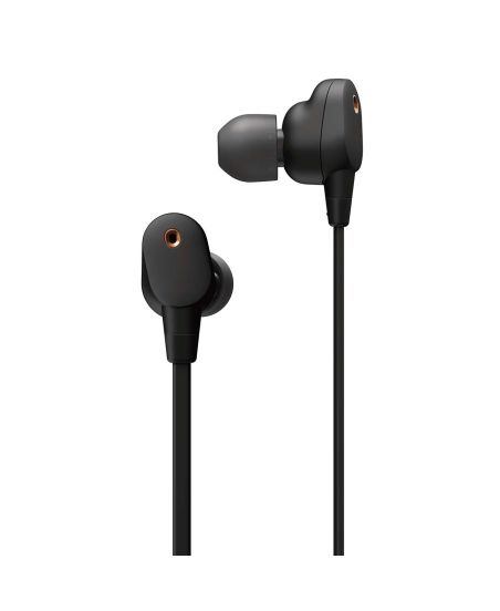  Sony WI-1000XM2